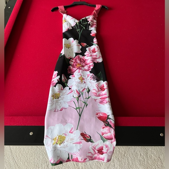 Brand new Ted baker dress - Picture 1 of 9
